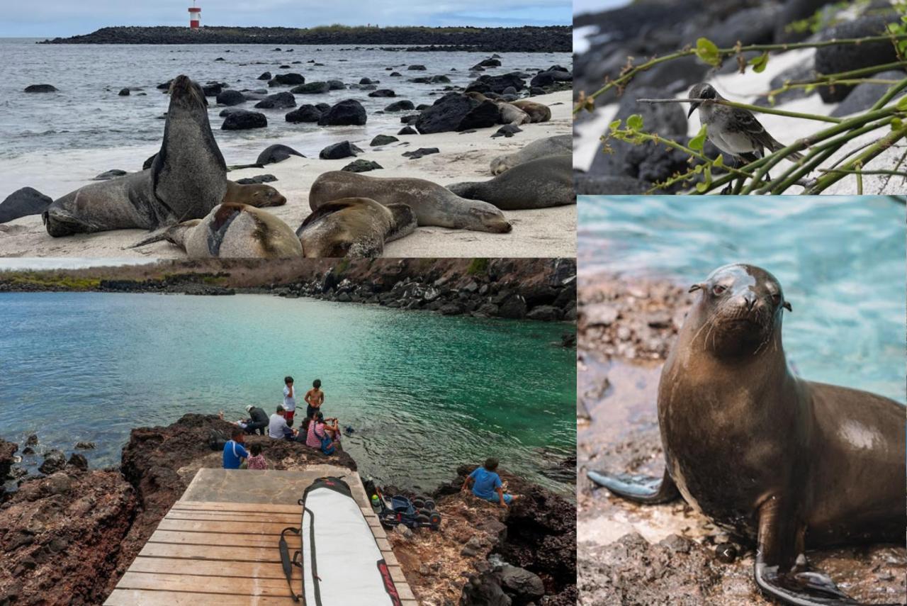 Blue Horizon - Galapagos Home Puerto Baquerizo Moreno Ngoại thất bức ảnh